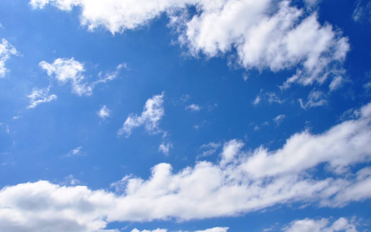 Спецтехника